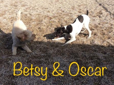 Betsy & Oscar